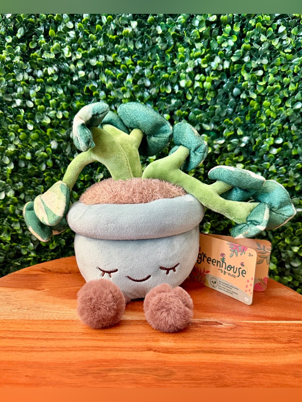 Greenhouse by Russ Chloe the Pothos Plant 12” Plush